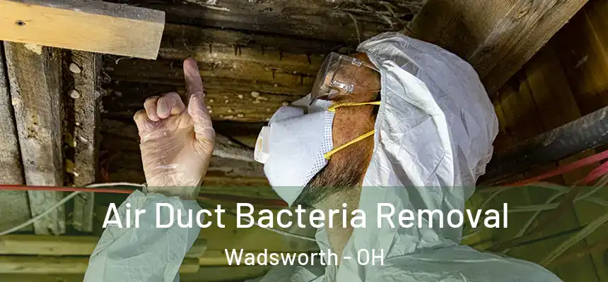 Air Duct Bacteria Removal Wadsworth - OH
