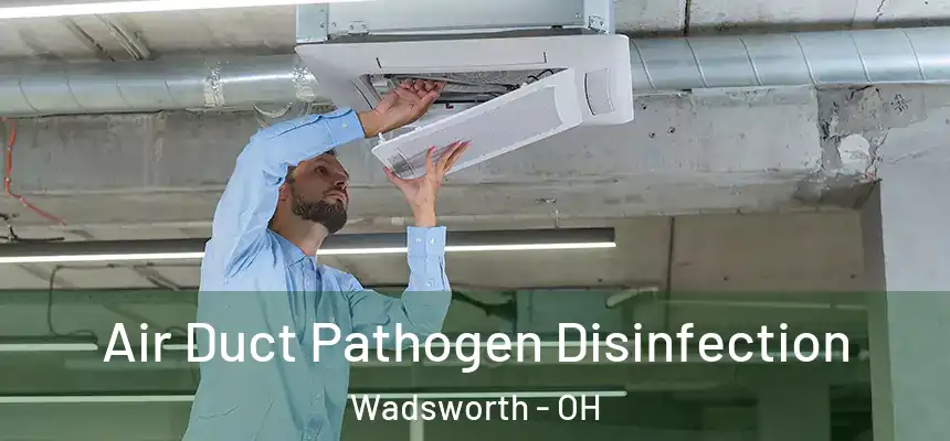 Air Duct Pathogen Disinfection Wadsworth - OH