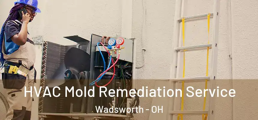 HVAC Mold Remediation Service Wadsworth - OH