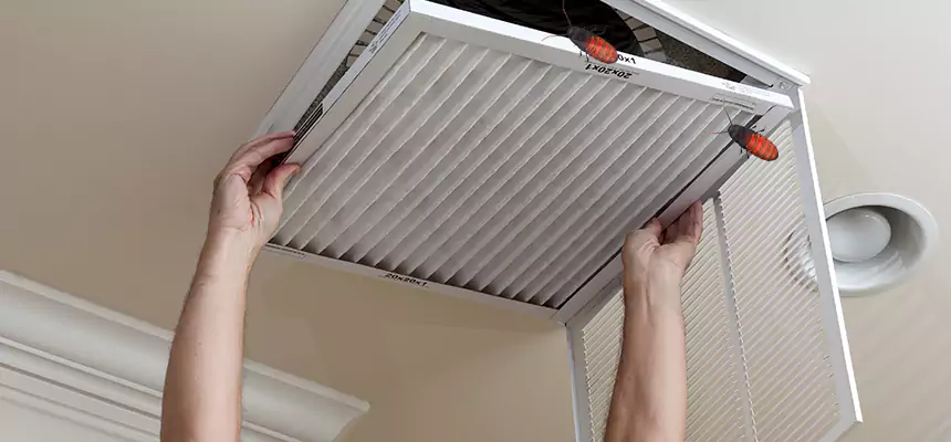 Our Insect Removal from Air Ducts Services in Wadsworth, OH