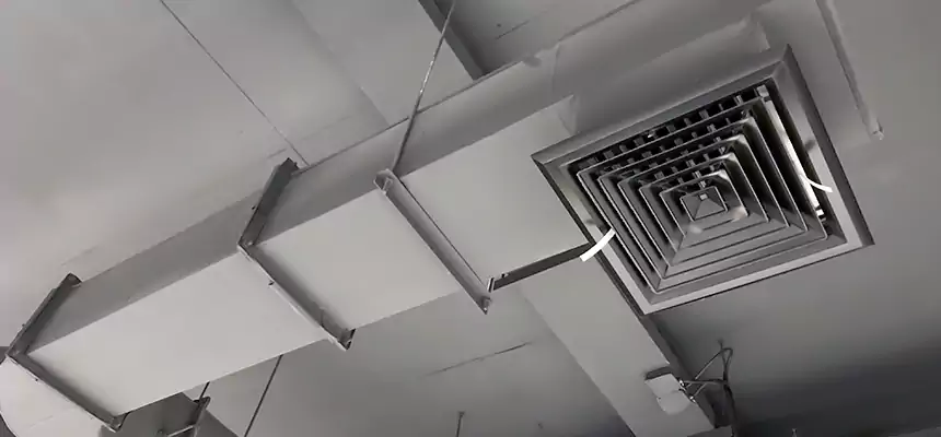 Our Pest Removal From Ducts Services in Wadsworth, OH