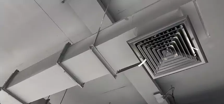 Our Rodent Droppings In Vents Services in Wadsworth, OH