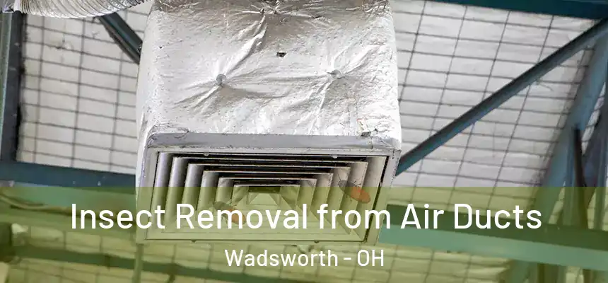 Insect Removal from Air Ducts Wadsworth - OH