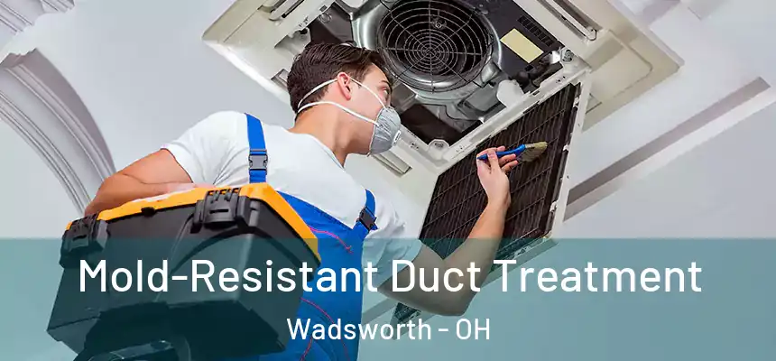  Mold-Resistant Duct Treatment Wadsworth - OH