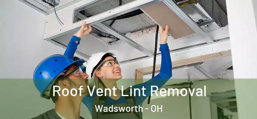  Roof Vent Lint Removal Wadsworth - OH