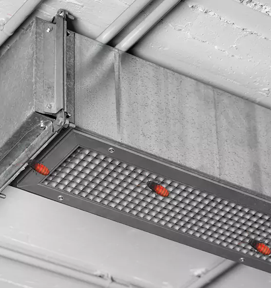 About Air Duct Cockroach Removal in Wadsworth, OH