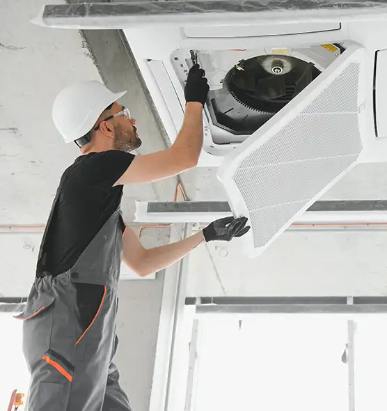 About Air Duct Rodent Removal in Wadsworth, OH